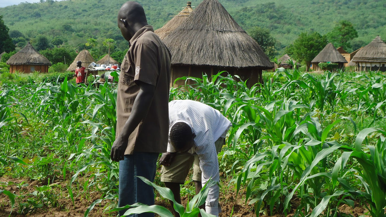 Satar mutane ta sa manoma tserewa su bar gonakinsu a Taraba