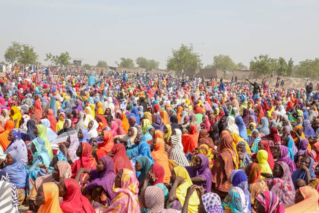 Mutane na tona gidan tururuwa don neman abinci a Borno —Ma’aikaciya