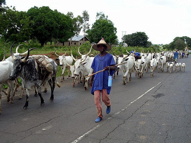 An kashe mutanenmu 350 a Filato —Kungiyoyin Fulani