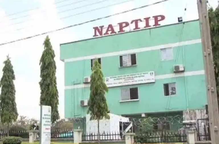 NAPTIP ta ceto mutum 285, ta kama masu safarar mutane 22 a 2024 a Kano