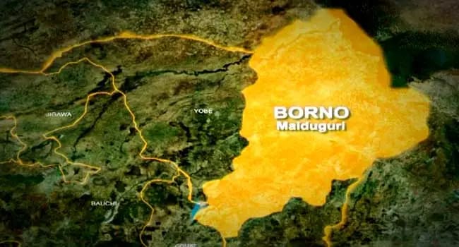 ’Yan ta’adda sun kashe dan sanda a Borno