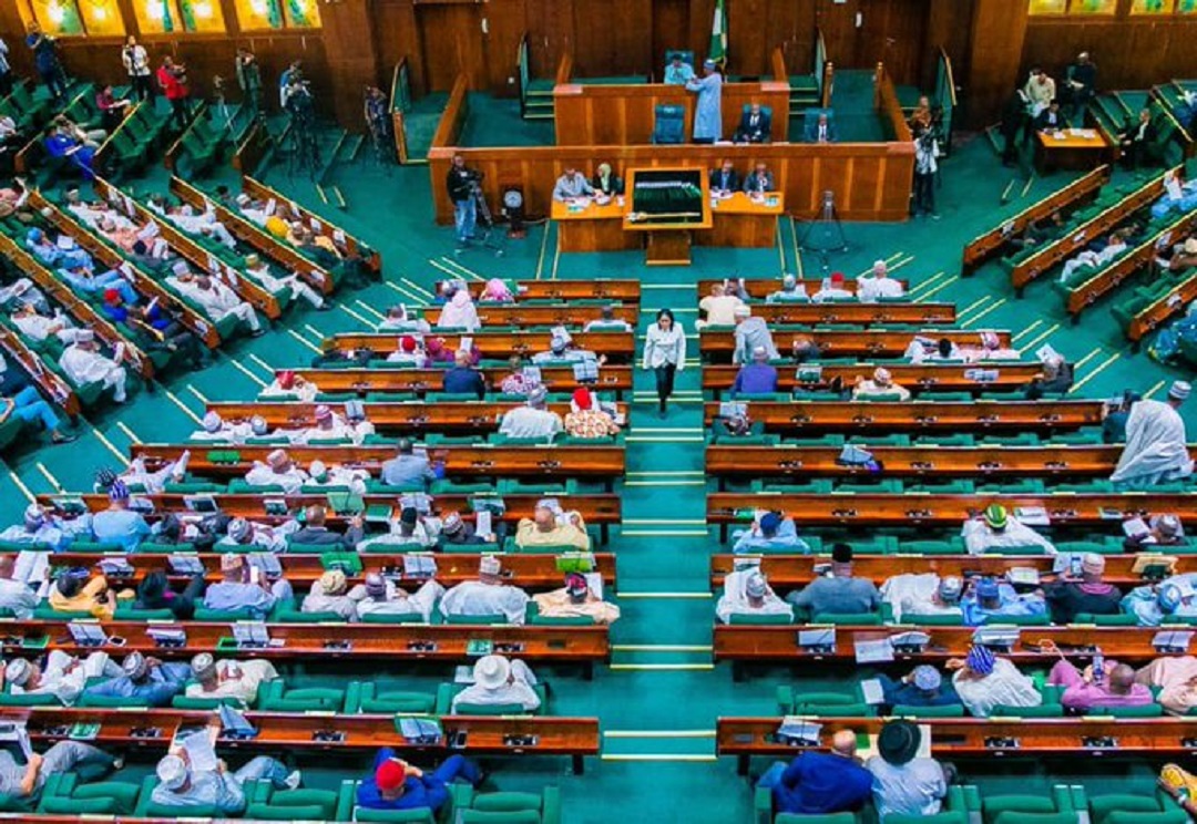 Ya kamata a tura karin dakaru iyakokin Najeriya — Majalisar Wakilai