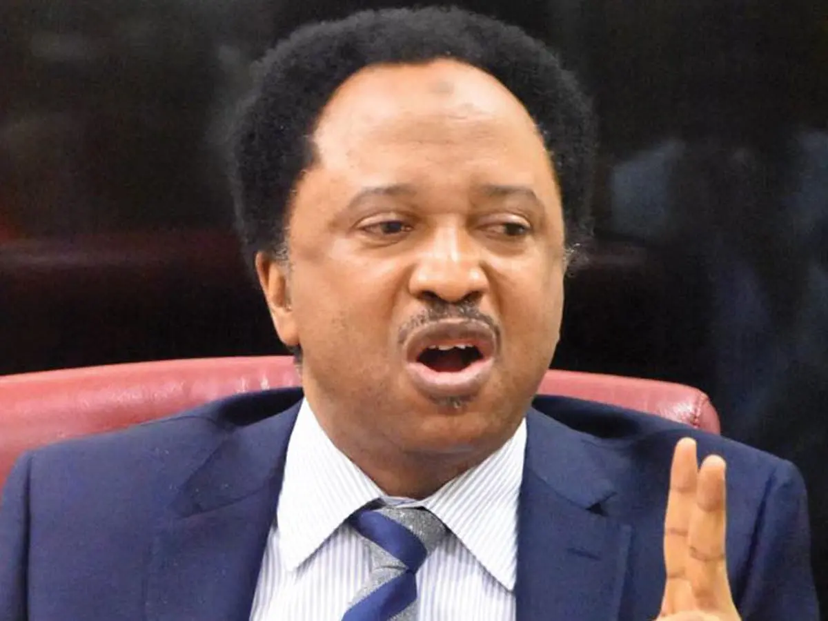 APC ta yi mulkin kama-karya na shekara 8 a Kaduna — Shehu Sani