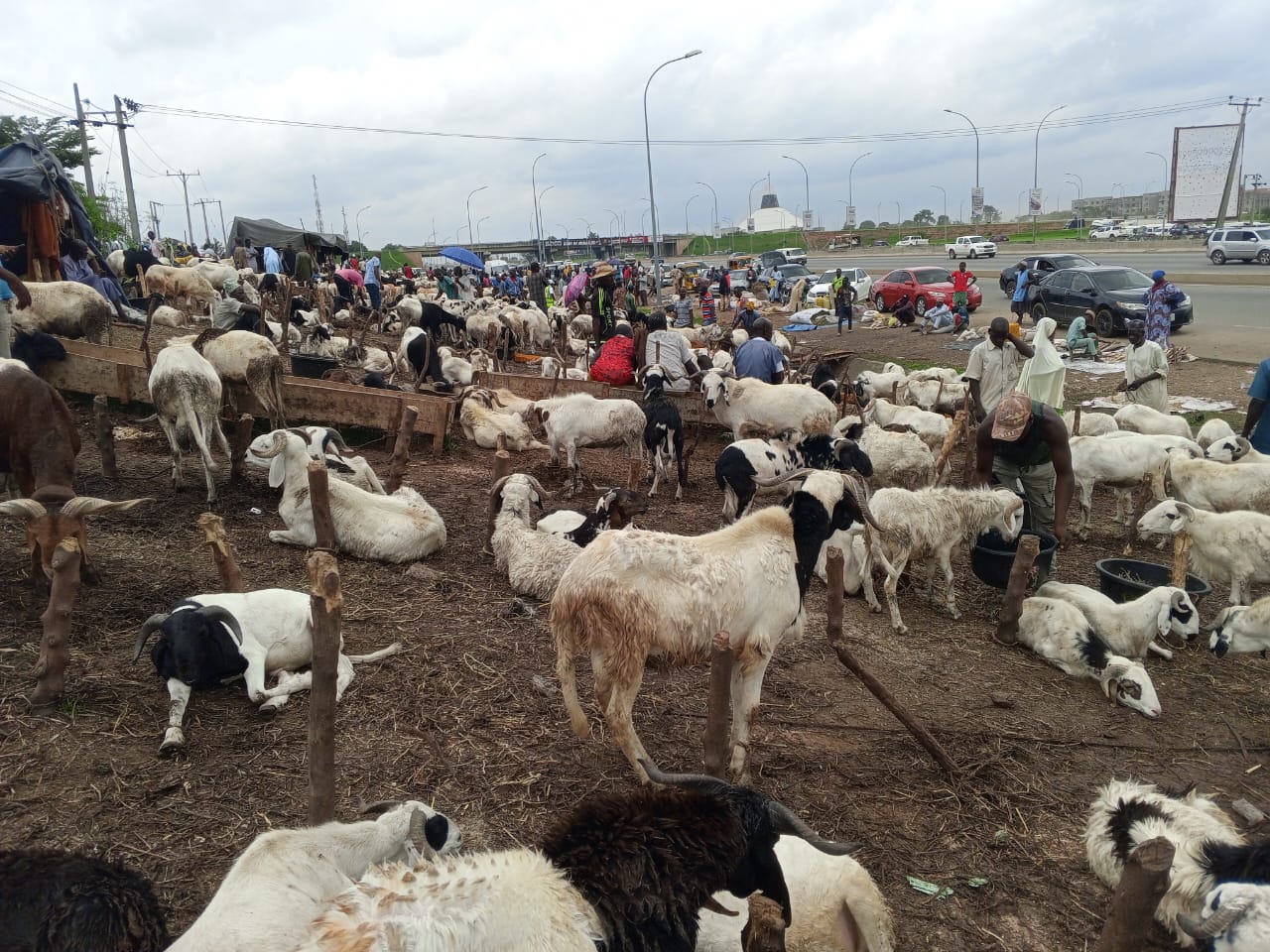 Rashin yin albashi ya janyo karancin cinikin raguna a Abuja