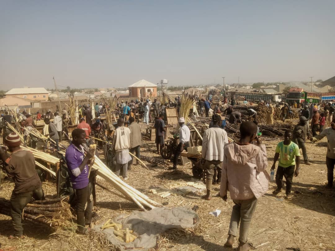 NAJERIYA A YAU: Za A Yi Wa Masu Sayar Da Rake Katin Shaida A Jihar Bauchi