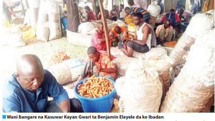 Yadda ‘yan Arewa ke harkar kayan lambu a Ibadan