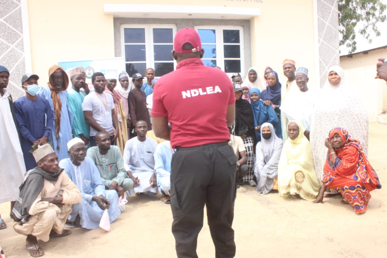 Ta’ammali da miyagun kwayoyi na haddasa ta’addanci a Borno — NDLEA