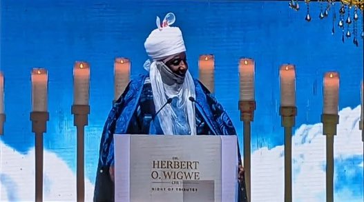 Yadda Wigwe ya taimaki iyalina lokacin da Ganduje ya sauke ni daga gadon sarauta — Sanusi