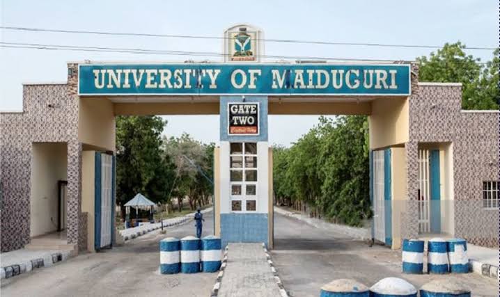 Mutum 8 sun shiga hannu kan kisan lakcara a UNIMAID