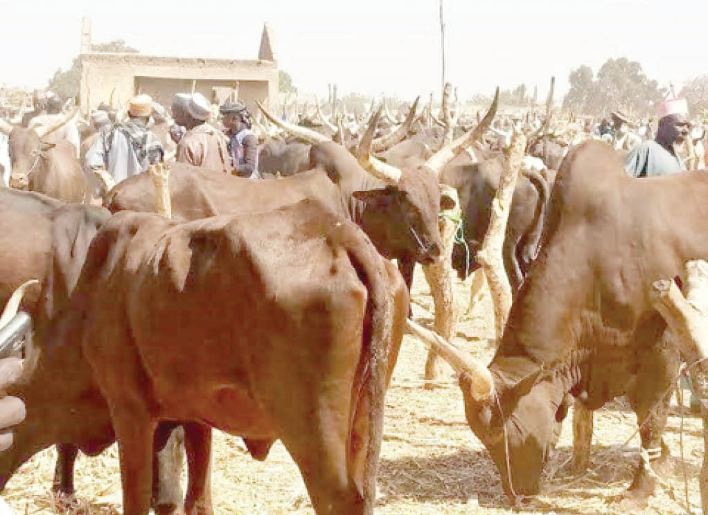 Tinubu ya ƙirƙiro ma’aikatar harkokin kiwon dabbobi