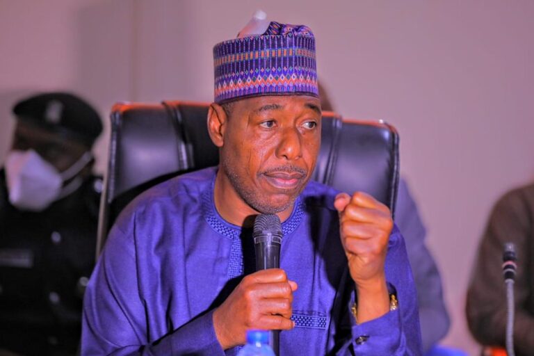 Ambaliya: Zulum ya rufe makarantu nan take