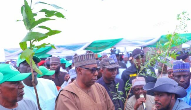 Zulum ya ƙaddamar da dashen itatuwa miliyan 10 a Borno