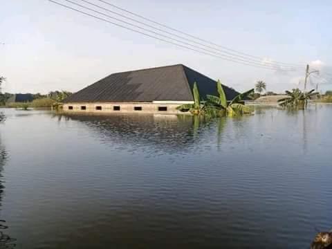 Ambaliya: Mutum 6 sun rasu, 2,000 sun rasa muhalli a Adamawa