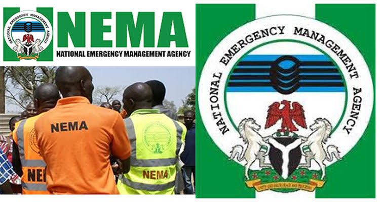 Gobara: NEMA ta raba kayan abinci a Zamfara da Sakkwato 