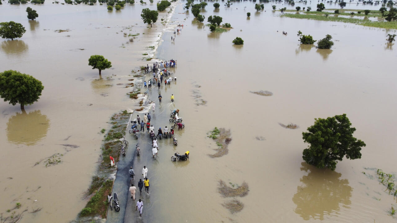 Ambaliyar Maiduguri: Al’ummar Yarbawa Na Neman Agaji