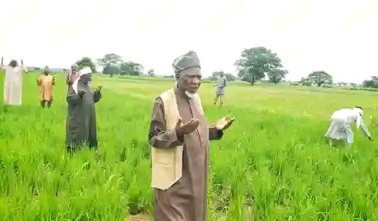 Dalilin da na rungumi aikin gona — Sheikh Jingir