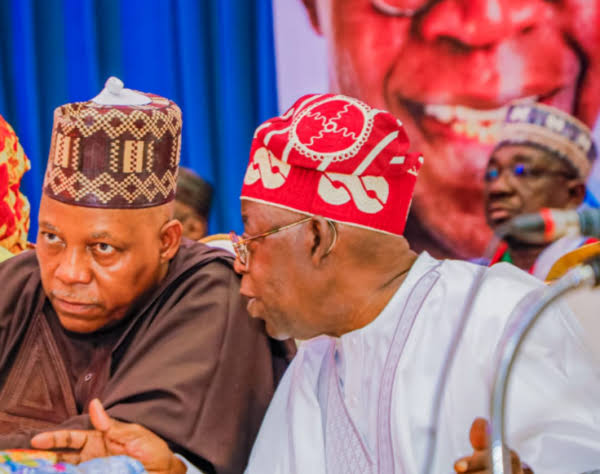 Babu saɓani tsakanin Tinubu da Shettima – Fadar Shugaban Ƙasa