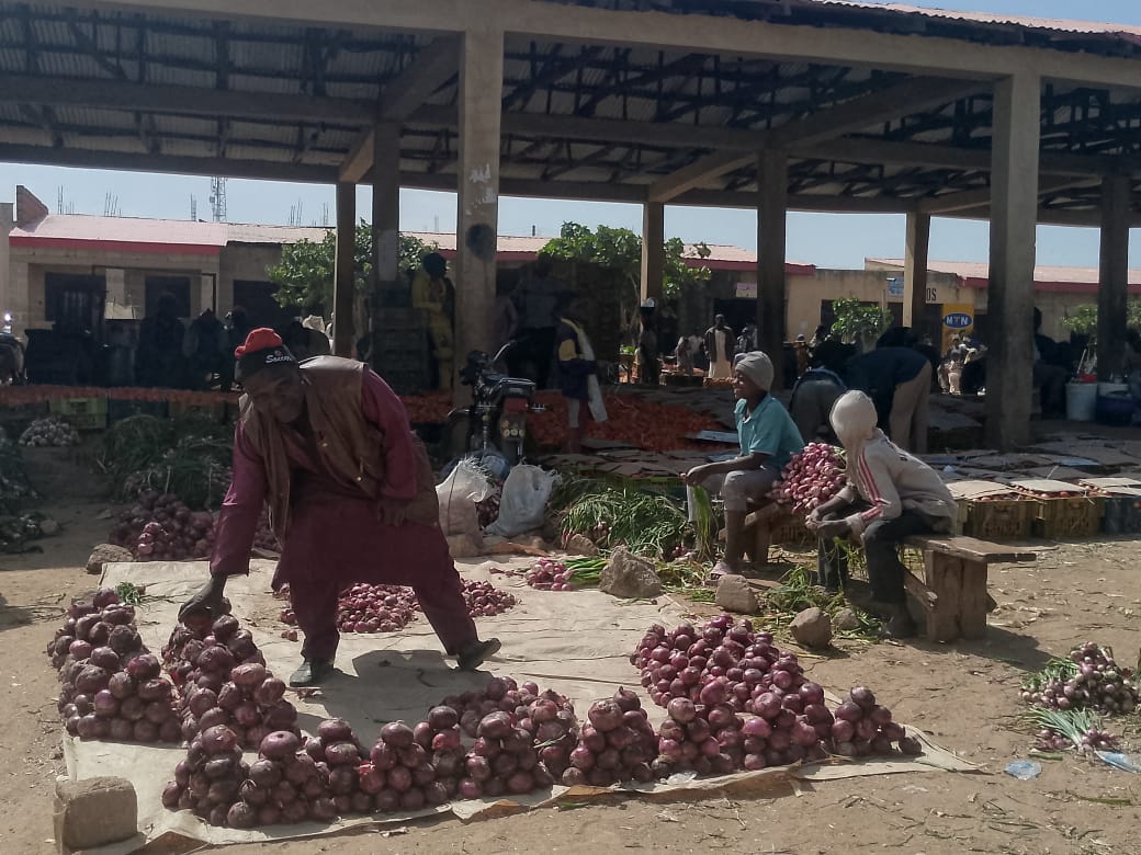 Ainihin dalilin tsadar albasa a Nijeriya