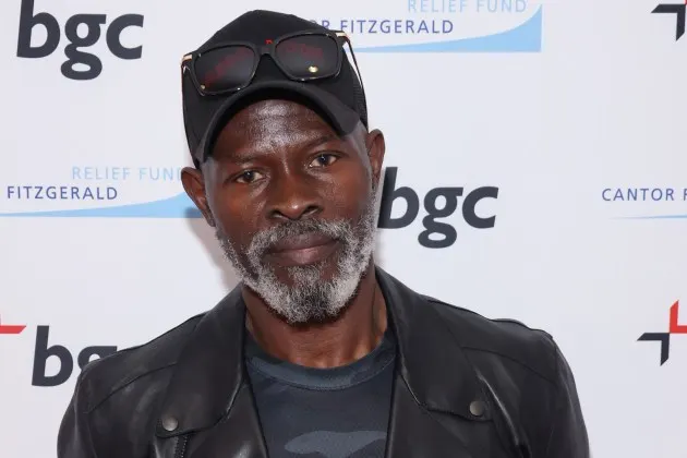 Na yi shekara 20 ina fim amma har yanzu ina fama da talauci — Djimon Hounsou